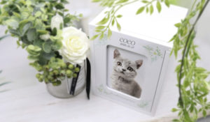 goods002