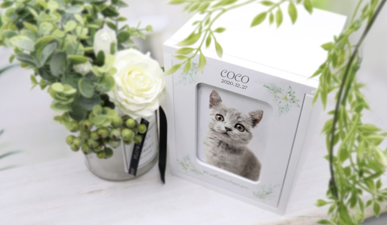 goods002