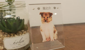 goods004